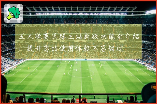 五大联赛买球主站新版功能全介绍，提升您的使用体验不容错过