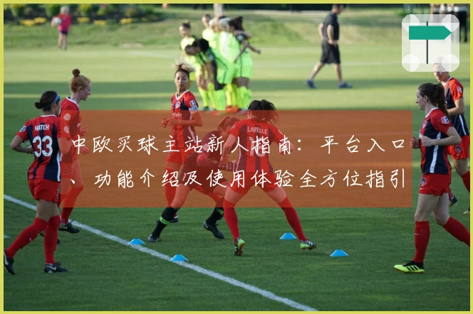 中欧买球主站新人指南：平台入口、功能介绍及使用体验全方位指引
