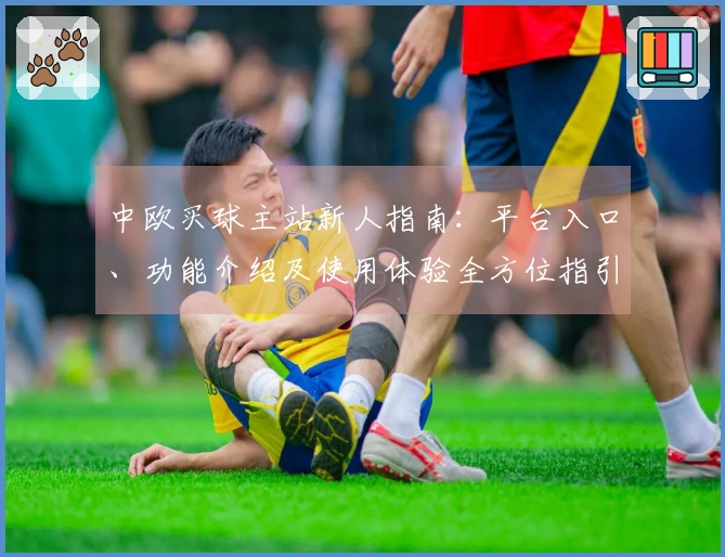 中欧买球主站新人指南：平台入口、功能介绍及使用体验全方位指引