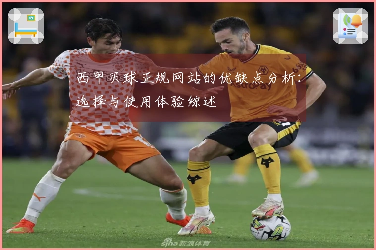 西甲买球正规网站的优缺点分析：选择与使用体验综述