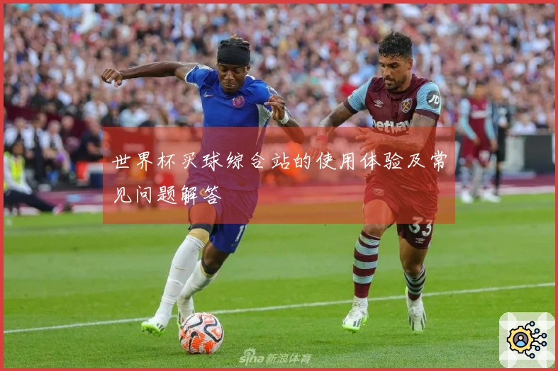 世界杯买球综合站的使用体验及常见问题解答
