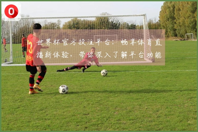 世界杯官方投注平台：畅享体育直播新体验，带你深入了解平台功能及使用指南