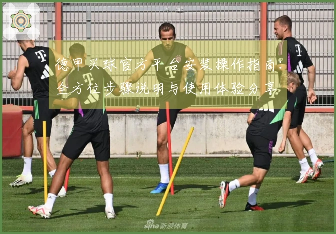 德甲买球官方平台安装操作指南：全方位步骤说明与使用体验分享