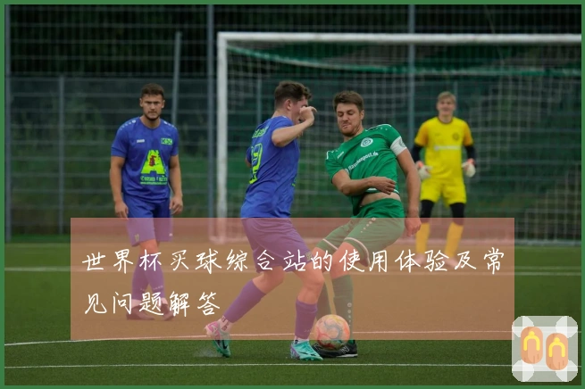 世界杯买球综合站的使用体验及常见问题解答