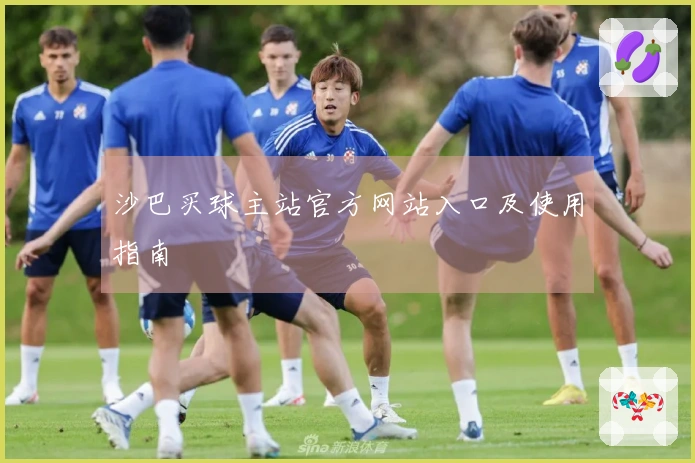 沙巴买球主站官方网站入口及使用指南
