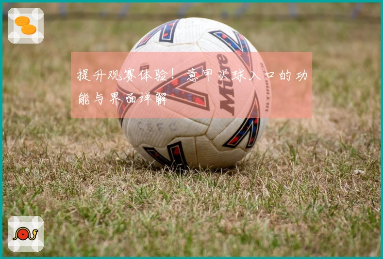 提升观赛体验！意甲买球入口的功能与界面详解