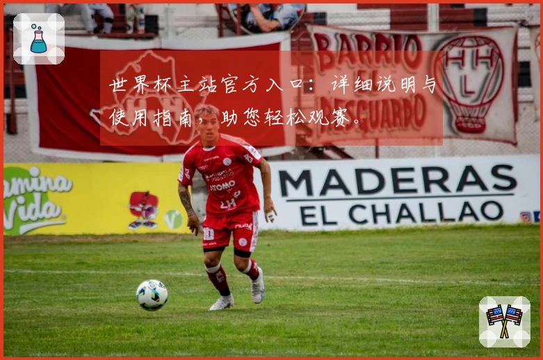 世界杯主站官方入口:详细说明与使用指南,助您轻松观赛。