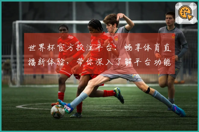 世界杯官方投注平台：畅享体育直播新体验，带你深入了解平台功能及使用指南