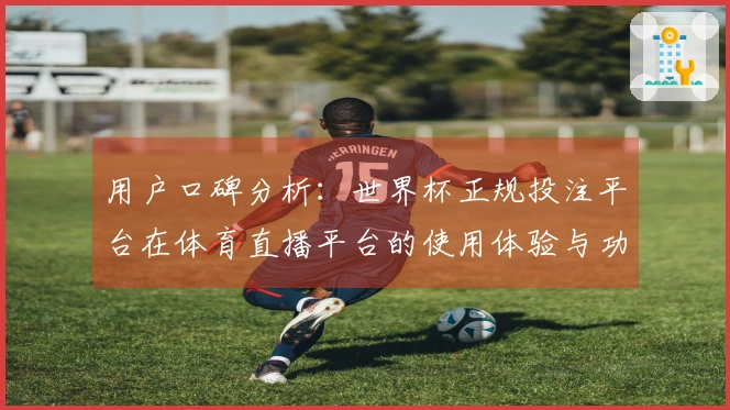 用户口碑分析：世界杯正规投注平台在体育直播平台的使用体验与功能评测