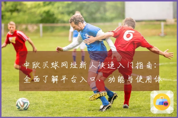 中欧买球网址新人快速入门指南：全面了解平台入口、功能与使用体验
