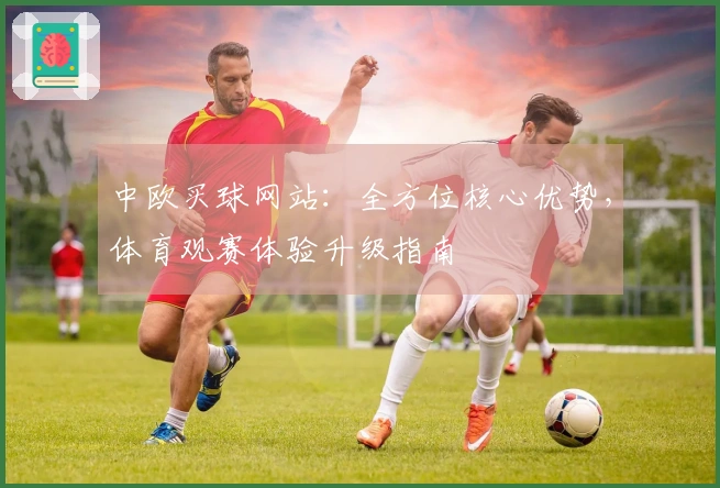 中欧买球网站：全方位核心优势，体育观赛体验升级指南